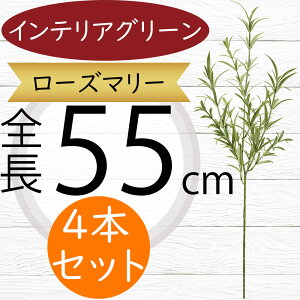 tFCNO[ [Y}[ n[u  lC CeAO[ A lHϗtA   A[gvc A[gO[ ϗtA ChAO[ CeA G Ƌ