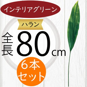 n tFCNO[ ^  lC CeAO[ A  lHϗtA A[gO[ A[eBtBVt[ t[AWg fBXvC   