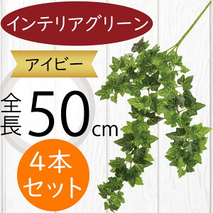 ACr[ tFCNO[  lC CeAO[ A ϗtA  A[gvc CeA Ƌ lHϗtA lH A[gO[ } t t ԍ IuWF 