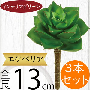 GPxA A tFCNO[  CeAO[ lC A A[gvc  A[gO[ ~jϗt lHϗtA lH ϗtA ԍ CeA IuWF