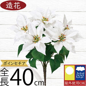  Op  |CZ`A lC A ϗtA CeAO[ tFCNO[ t[AWg fBXvC  Ԓd |pi K[fjO   oR