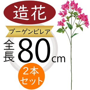 u[QrA u[QrA ^   lC tFCNO[ A ԍ CeAO[ ϗtA lHϗtA lH t[AWg { gs