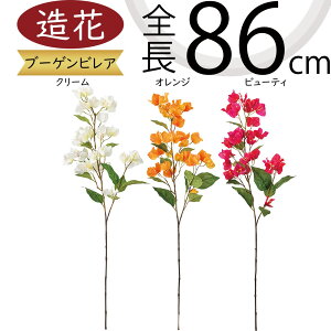 u[QrA u[QrA ^   lC tFCNO[ A ԍ CeAO[ ϗtA lHϗtA lH t[AWg { gs