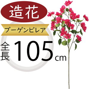 u[QrA u[QrA ^   lC tFCNO[ A ԍ CeAO[ ϗtA lHϗtA lH t[AWg { gs