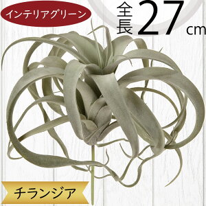 eBWA `WA GAvc  lC A tFCNO[ CeAO[ ϗtA  lHϗtA IuWF CeA GA[vc A[eBtBV