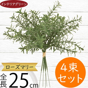 tFCNO[ [Y}[ n[u  lC CeAO[ A lHϗtA   A[gvc A[gO[ ϗtA ChAO[ CeA G Ƌ