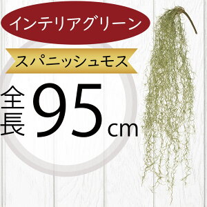 XpjbVX CeAO[  lC tFCNO[ GA[vc GAvc A lHϗtA A[gvc  A[gO[ t IuWF Ƌ t