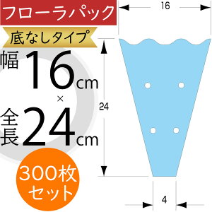 OPP t[pbN tB Ȃ 30  NA lC bsO    ԍ t[ Ɩp Xܗp ItBX ԉ t[AWg |pi ޗ f 