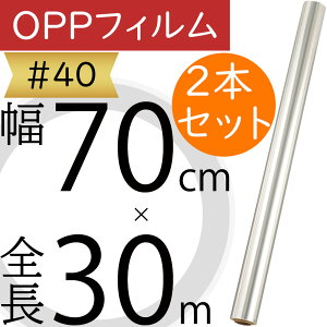 OPPtB 40  NA lC bsO    ԍ t[ Ɩp Xܗp ItBX ԉ t[AWg |pi ޗ f  ֗ V[g [ 