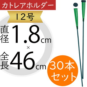 JgAz_[  12 t[ ԍ ؂  ֑}  t[AWg pi fBXvC  ꑕ Cxg  |pi K[fjO t[