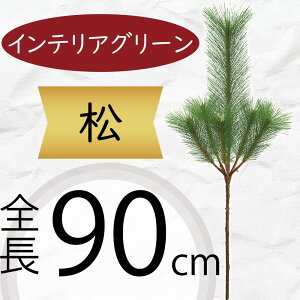  tFCNO[ ^  lC CeAO[ ̗t ܂ }c A ϗtA lHϗtA A[gO[ ԍ t t A[eBtBVt[ t[AW