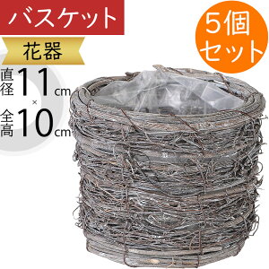 t[x[X oXPbg Ԋ  lC ԓ CeA IuWF G Ƌ  JS   u VRf Rf |pi i` Mtg v[g t[A