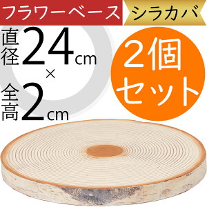 t[x[X  X^h  u IuWF lC CeAO[ tFCNO[ lHϗtA Ƌ G  ԍ ԑ t[AWg fBXvC  c[