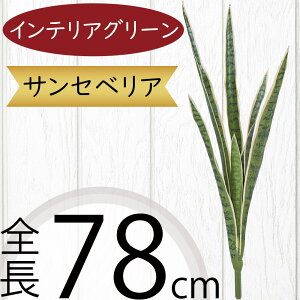 TZxA TXxA A  tFCNO[ lC CeAO[ A lHϗtA lH  A[gvc A[gO[ CeA IuWF Ƌ t