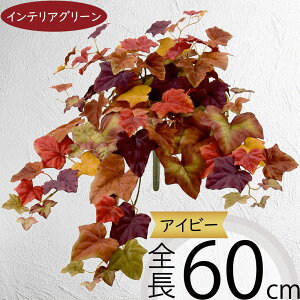 ACr[ tFCNO[  lC CeAO[ A ϗtA  A[gvc CeA lHϗtA lH } t t ԍ  IuWF t[AW