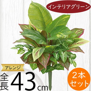 tFCNO[ |gX lC  A ϗtA CeAO[ lHϗtA  A[gO[ lH ԍ t  CeA IuWF t[AWg fB