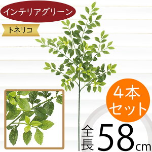 tFCNO[  A lC  ϗtA CeAO[ glR V}glR  lHϗtA lH A[gO[ CeA  t } } {