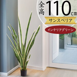 TZxA TXxA tFCNO[ A  lC A CeAO[ lHϗtA lH  A[gvc A[gO[ ϗtA  CeA 