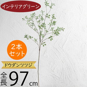 hE_ccW tFCNO[ ^  ϗtA A lC CeAO[  lHϗtA lH  A[gvc A[gO[ CeA  fBX