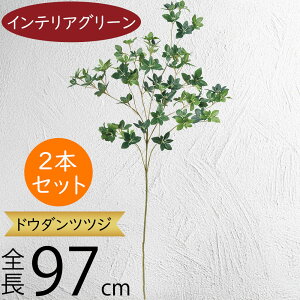 hE_ccW tFCNO[ ^  ϗtA A lC CeAO[  lHϗtA lH  A[gvc A[gO[ CeA  fBX