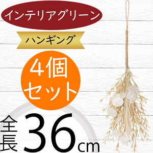 nMO  tFCNO[ lC  A CeAO[ ϗtA lHϗtA  CeA A[gO[  t ݂邷 ݂邵 ݂邹 ݂艺 | 