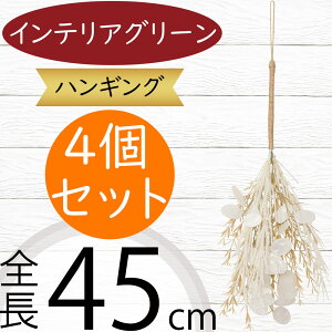 nMO  tFCNO[ lC  A CeAO[ ϗtA lHϗtA  CeA A[gO[  t ݂邷 ݂邵 ݂邹 ݂艺 | 