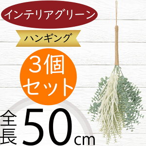 nMO  tFCNO[ lC  A CeAO[ ϗtA lHϗtA  CeA A[gO[  t ݂邷 ݂邵 ݂邹 ݂艺 | 