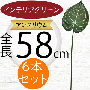 AXE AX[ tFCNO[ lC A ϗtA CeAO[ lHϗtA  A[gO[ lH ԍ CeA IuWF t[AWg 