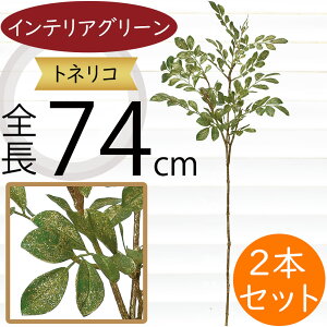 tFCNO[  A lC  ϗtA CeAO[ glR V}glR  lHϗtA lH A[gO[ CeA  t } } {