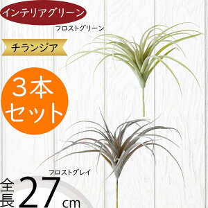 `WA eBWA GAvc  lC A tFCNO[ CeAO[ ϗtA  lHϗtA IuWF CeA GA[vc A[eBtBV