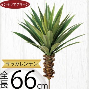 A tFCNO[  CeAO[ lC A A[gvc  A[gO[ ~jϗt lHϗtA lH ϗtA ԍ t t CeA IuWF 