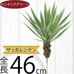 A tFCNO[  CeAO[ lC A A[gvc  A[gO[ ~jϗt lHϗtA lH ϗtA ԍ t t CeA IuWF 