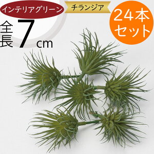 `WA eBWA GAvc  lC A tFCNO[ CeAO[ ϗtA  lHϗtA IuWF CeA GA[vc A[eBtBV