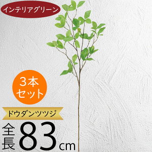 hE_ccW tFCNO[ ^  ϗtA A lC CeAO[  lHϗtA lH  A[gvc A[gO[ CeA  fBX