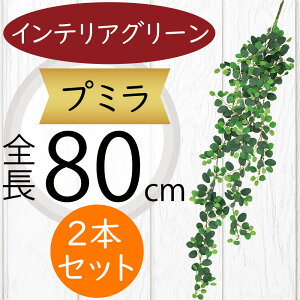 tFCNO[ v~  lC CeAO[ A lHϗtA  lH A[gvc A[gO[ ϗtA ChAO[ CeA G Ƌ IuWF