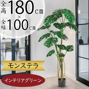 tFCNO[ ^ Xe  lC  A CeAO[  傫 傫 lHϗtA lH  CeA IuWF { ChAO[