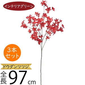 hE_ccW tFCNO[ ^  ϗtA A lC CeAO[  lHϗtA lH  A[gvc A[gO[  fBXvC Iu