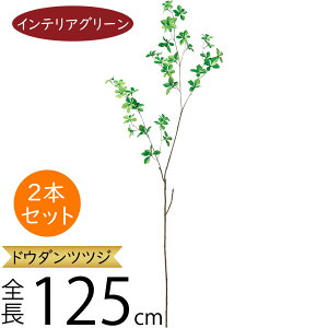 hE_ccW tFCNO[ ^  ϗtA A lC CeAO[ lHϗtA lH  A[gvc A[gO[  fBXvC IuWF t