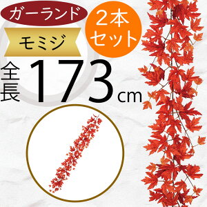 K[h  ~W ݂ lC tFCNO[ CeAO[ lHϗtA  A[eBtBVt[ A fR[V fBXvC t ǖʑ V