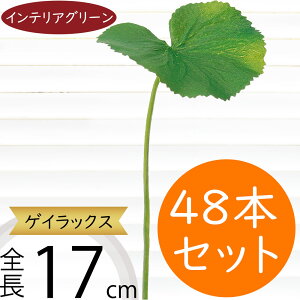 QCbNX tFCNO[  ϗtA A lC CeAO[ lHϗtA   A[gvc A[gO[ CeA  fBXvC IuWF t