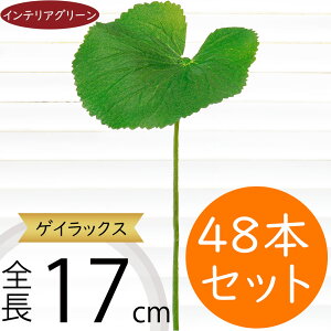 QCbNX tFCNO[  ϗtA A lC CeAO[ lHϗtA   A[gvc A[gO[ CeA  fBXvC IuWF t