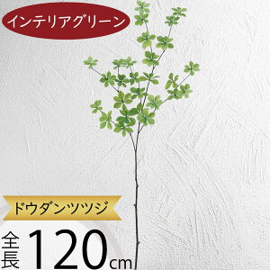 hE_ccW tFCNO[ ^  ϗtA A lC CeAO[  lHϗtA lH  A[gvc A[gO[ CeA  fBX