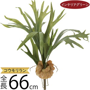 tFCNO[ RE rJNV_ X^bOz[  lC A  CeAO[ lHϗtA lH IuWF  CeA A[gO[ ϗtA 