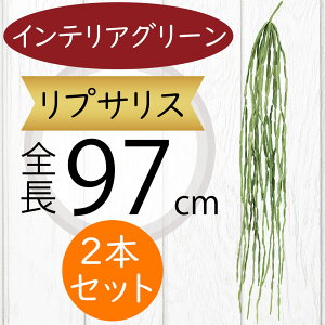 A vTX tFCNO[ ^  CeAO[ lC A A[gvc  A[gO[ lHϗtA lH ϗtA ԍ t t } Ce