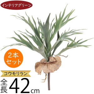 tFCNO[ RE rJNV_ X^bOz[  lC A  CeAO[ lHϗtA lH IuWF  CeA A[gO[ ϗtA 