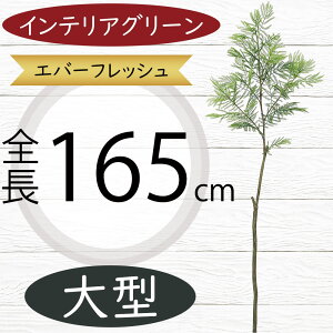 tFCNO[ ^  ϗtA A lC  CeAO[  A[gO[ lHϗtA lH Go[tbV Go[O[ ˂ނ̖ lmL  