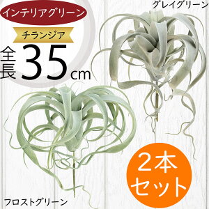 `WA eBWA GAvc LZOtBJ  lC A tFCNO[ CeAO[ ϗtA  lHϗtA IuWF CeA GA[vc A