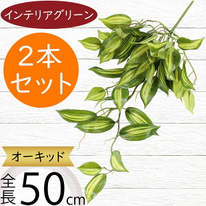 tFCNO[  lC CeAO[ A lHϗtA  A[gvc A[gO[ ϗtA ChAO[ CeA IuWF t[AWg 