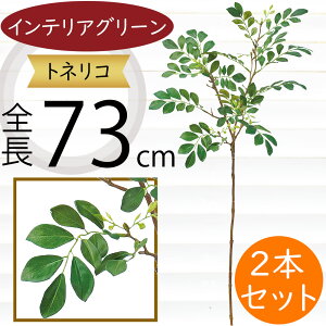 tFCNO[  A lC  ϗtA CeAO[ glR V}glR  lHϗtA lH A[gO[ CeA  t } } {