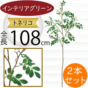 tFCNO[  A lC  ϗtA CeAO[ glR V}glR  lHϗtA lH A[gO[ CeA  t } } {